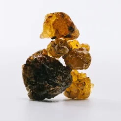 7 Cobalt*LOEWE Clearance