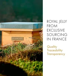 Outlet Abeille Royale Fortifying Lotion Limpieza