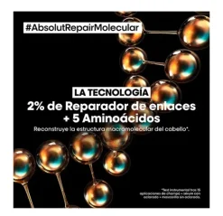 Absolut Repair Molecular*L'OREAL PROFESSIONNEL Clearance