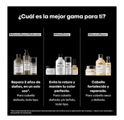 Absolut Repair Molecular*L'OREAL PROFESSIONNEL Clearance