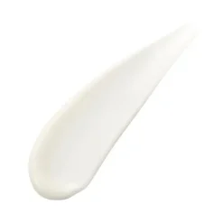 Absolute Silk Fluid*SENSAI New