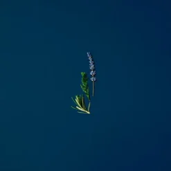 Acqua Di Giò Profondo*ARMANI New