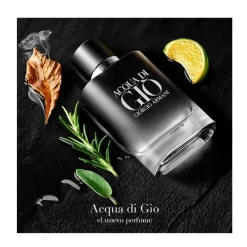 Acqua Di Gio Parfum*ARMANI Outlet