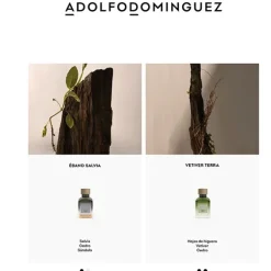 Vetiver Terra*ADOLFO DOMINGUEZ