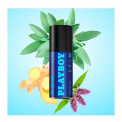 Clearance PLAYBOY AM To PM