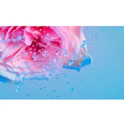 Angel Cream*MUGLER Outlet