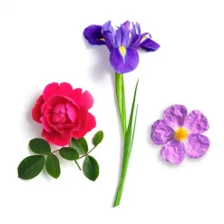 Sale APIVITA Aqua Beelicious Contorno De Ojos