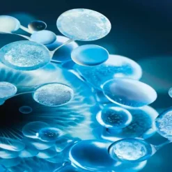 Aquasource Hydra Barrier Shoothing Cream-To-Foam Cleanser*BIOTHERM Online