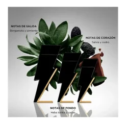 Clearance Bad Boy Eau De Toilette Perfumes