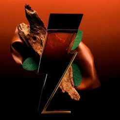 Bad Boy Elixir Perfumes