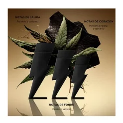 Online Bad Boy Le Parfum Perfumes