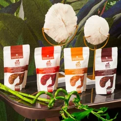 Clearance ORIENTANA Bio Henna