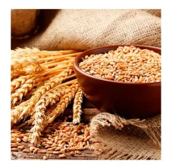 Biotin & Collagen*OGX