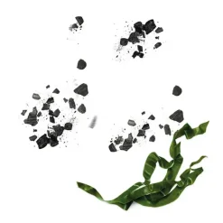 Black Mask Tissu Pure Charcoal*GARNIER