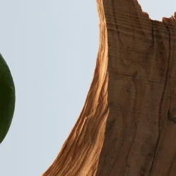 Boss Bottled Eau De Toilette*HUGO BOSS