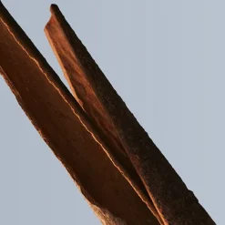 Boss Bottled Eau De Toilette*HUGO BOSS