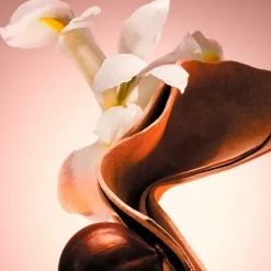 Boss The Scent Le Parfum For Him*HUGO BOSS Best