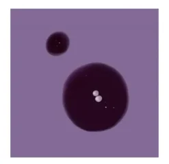 INNERSENSE Bright Balance