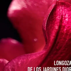 Capture Totale C.E.L.L. Energy Super Potent Rich Creme*DIOR Sale