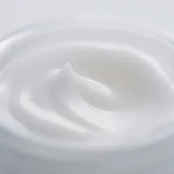 Cellular Performance Fresh Cream*SENSAI Clearance