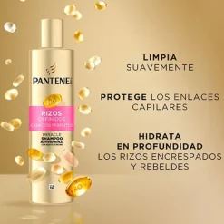 New PANTENE Champú Miracle Rizos Definidos