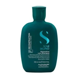 Online ALFAPARF Champú Reparador