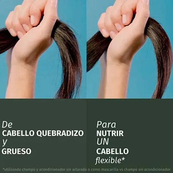 Champú Reparador Aceite Argán*HERBAL ESSENCES Sale