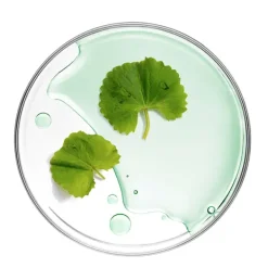 Online MIZON Cicaluronic