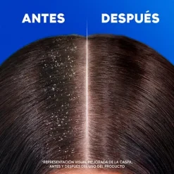 Citrus Fresh*H&S Best