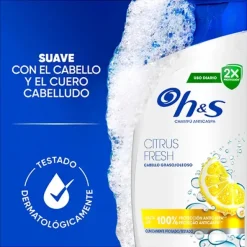 Citrus Fresh*H&S Best