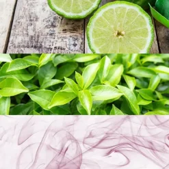 Ck One*CALVIN KLEIN Online