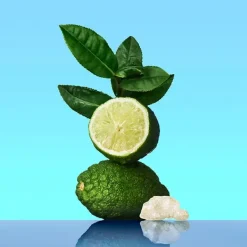 Ck One*CALVIN KLEIN Online