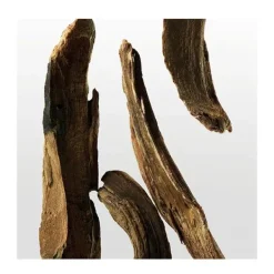 CK One Essence*CALVIN KLEIN Outlet