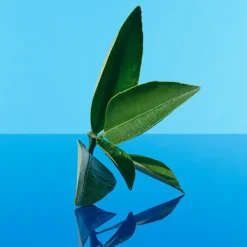 CK One Summer*CALVIN KLEIN