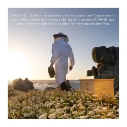 Clearance GUERLAIN Cofre Abeille Royale Crema