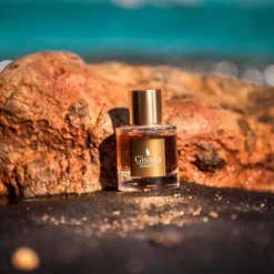 Cofre Ambassador*GISADA New