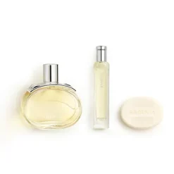 Cofre Barénia*HERMÈS Sale