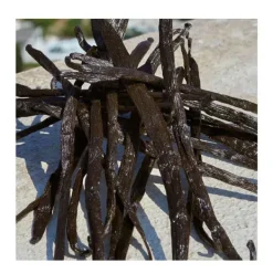 Cofre Devotion 100ML Estuches Mujer