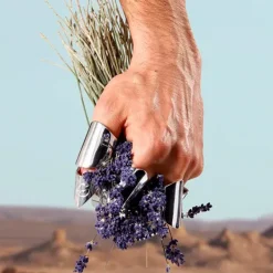 Best Cofre K By D&G Eau De Toilette Estuches Hombre