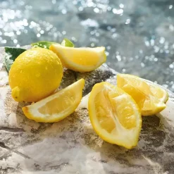 Cofre Light Blue*DOLCE & GABBANA New