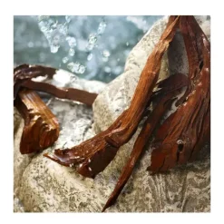 Cofre Light Blue 100ML*DOLCE & GABBANA Sale