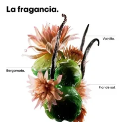 Discount L'OREAL PROFESSIONNEL Cofre Molecular Repair