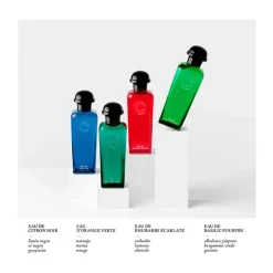 Concentré D'orange Verte*HERMÈS Online