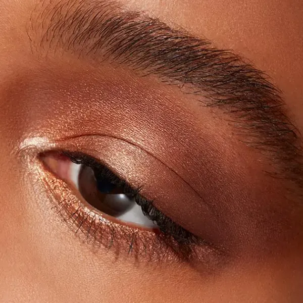 Connect In Color Eeyeshadow Palette*MAC COSMETICS