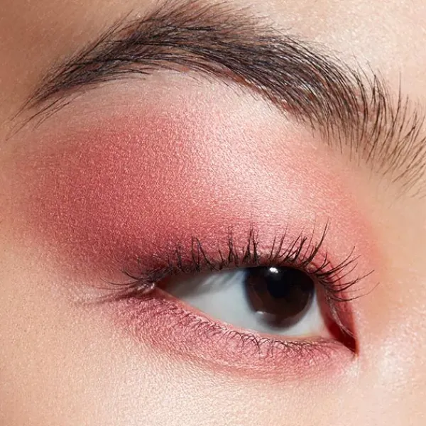 Connect In Color Eeyeshadow Palette*MAC COSMETICS