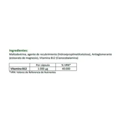 Discount NUTRICION MEDICA Cápsulas B12 Nm