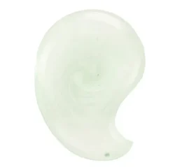 RENÉ FURTERER Curbicia Champú Normalizante