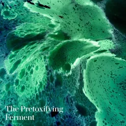 New Deep Purifying Mask Limpieza