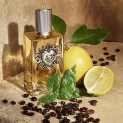 New Devotion Male Perfumes