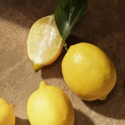 New Devotion Male Perfumes